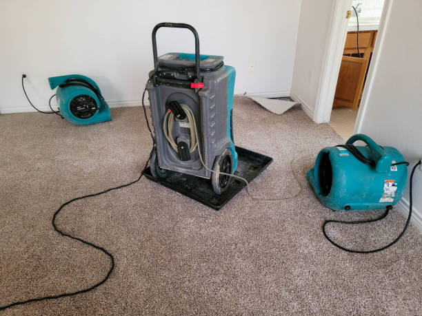 Best Residential water damage restoration  in Northfield, NJ